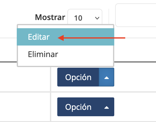 Vista de la opción "Editar"