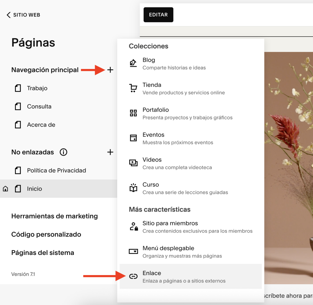 Vista de la configuración del sitio en Squarespace