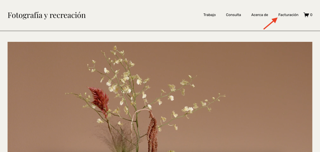 Muestra del enlace configurado para obtener la factura en el sitio de Squarespace